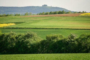 Blick hinüber zum Veitsberg