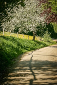 Weg nach Kloster Banz