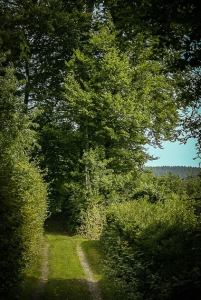 Weg am Berghang entlang