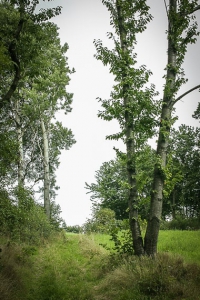 Weg hinauf auf den Bergrücken