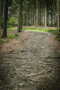 Steiniger Weg bergauf