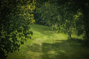 Rundum grüner Weg