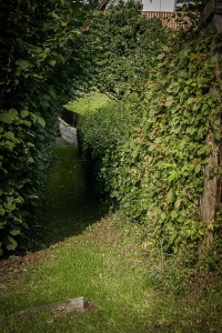 Weg an Hecke entlang