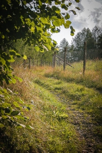 Weg steigt nochmal leicht an