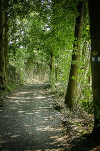 Letzte Weg-Etappe