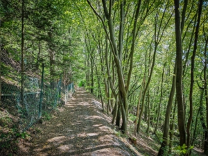 Ebener Weg am Berghang entlang