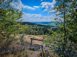 Weg auf freigelegte Fläche mit einigen Pingen