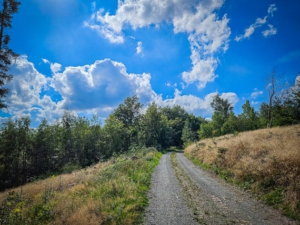 Nach links auf den breiten Schotterweg abbiegen