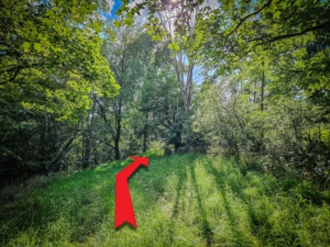 Am Ende der Wiese im Waldstück rechts nach oben