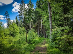 Am Areal eines Steinbruchs entlang