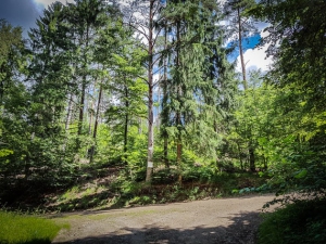 Auf breitem Weg nach rechts oben