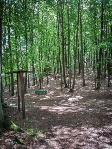 Größere Wegkreuzung mit Tafel