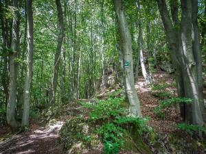 Felsiger Weg nach rechts oben