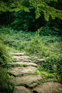 Findlingweg – auf Steinen bergauf