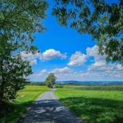 Die Goldene Aussicht über Goldkronach