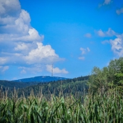 Blick zum 1.024 m hohen Ochsenkopf im hohen Fichtelgebirge