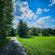 Weg an einem Wiesenrand entlang