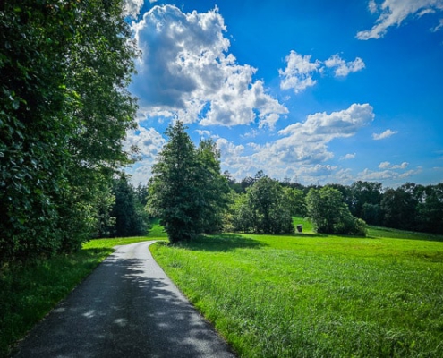 Weg an einem Wiesenrand entlang