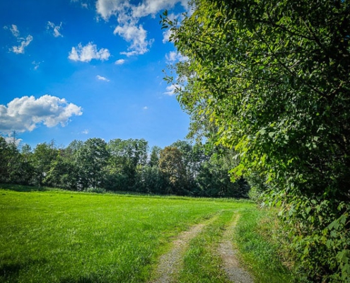 Weg an einem Wiesenrand entlang