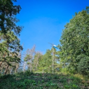 Blick hoch zur Wetterfahne Goldkronach