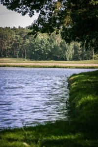 An einem langgezogenen Weiher