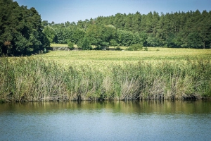 Wandern Poppenwind Weiher