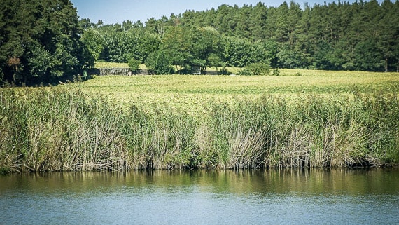 Wandern Poppenwind Weiher