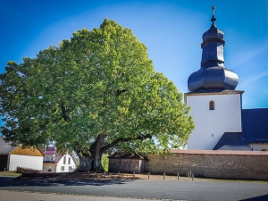 Startpunkt an der Kirche von Hohenpölz