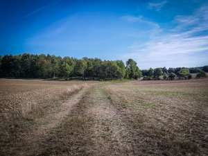 Breiter Wiesenweg