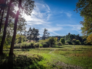 Pfad vom Tummler raus ins Tal