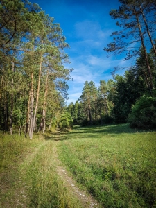 Weg aus dem Tal hinaus