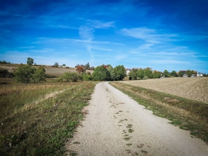 Hohenpölz wieder in Sicht