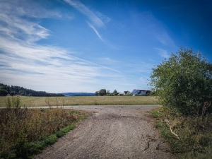 Kleiner geteerter Flurweg