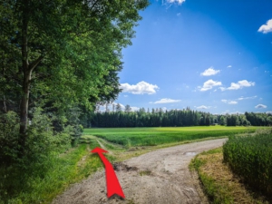 Eine ganze Zeit lang am Waldrand entlang