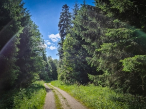 Lange, lange gerade Weg-Etappe