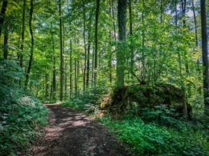 Gedanktafel an Felsen