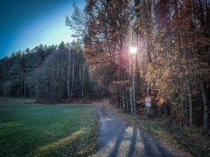 Weg am Waldrand außerhalb von Burgstall