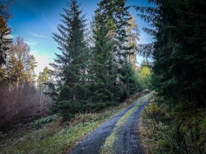 Abzweigung nach oben