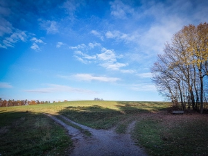 An der Gabelung links