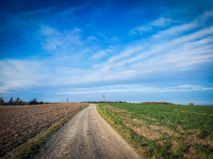 Hochebene vor Bürg