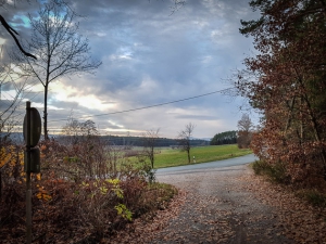 Außen vorm Wald