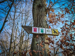 Wegweiser u.a. mit grünem und roten Turm