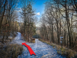 Auf gröberem Weg nach links hinauf zur Ruine abbiegen