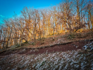 Roter Sand an der Böschung