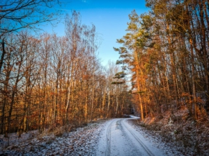 Auf breitem Schotterweg zurück