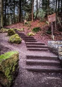 Weitere Waldtreppe