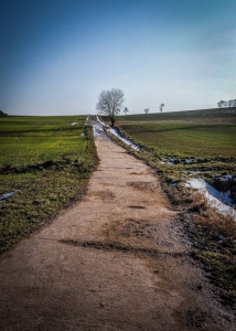 Schmaler befestigter Weg