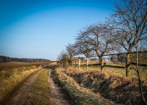 Weg an Pferdekoppeln entlang