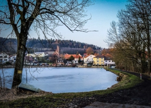 Zurück nach Ahorn