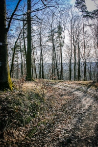 Weg über den Südrand des Plateaus hinunter